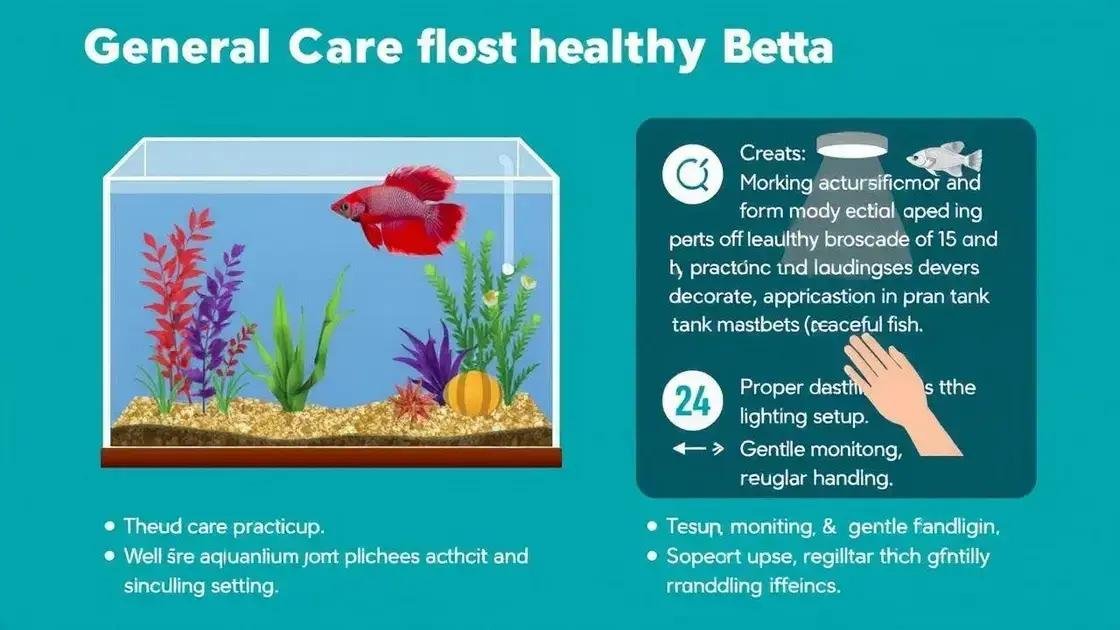 Cuidados gerais para a saúde dos bettas