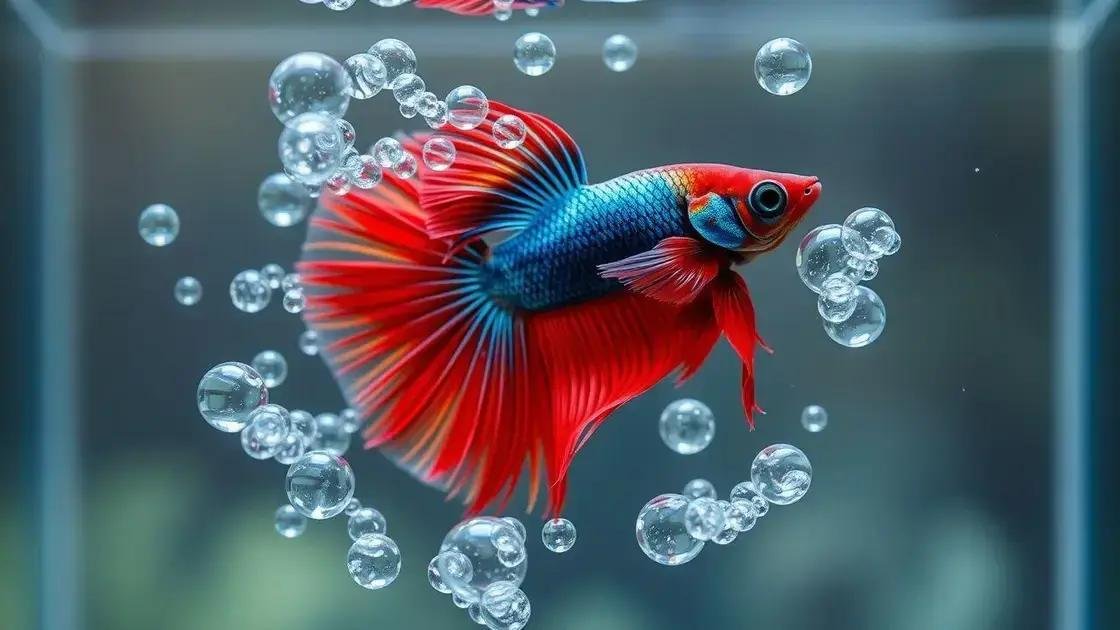 Ninho de Bolhas do Betta: O que Significa e Como Estimular