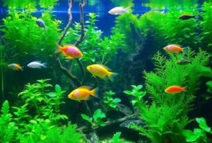 Plantas Naturais Para Aquário de Água Doce: Benefícios e Cuidados