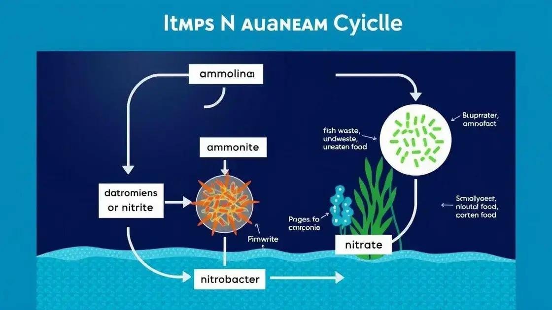 Ciclo de nitrogênio e sua importância