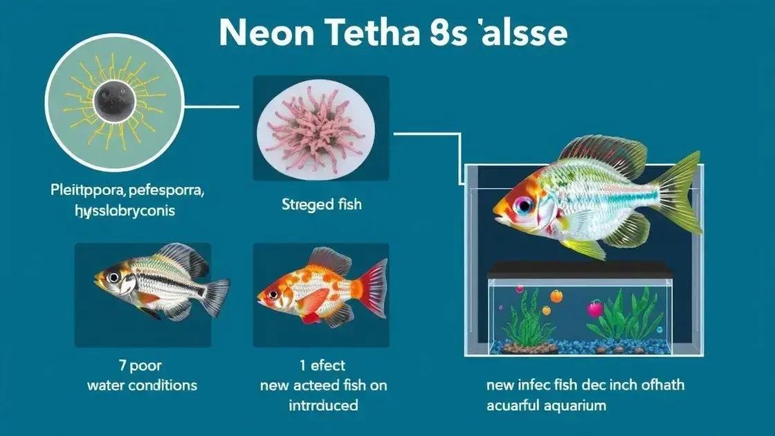 Causas mais comuns da doença em tetra neon