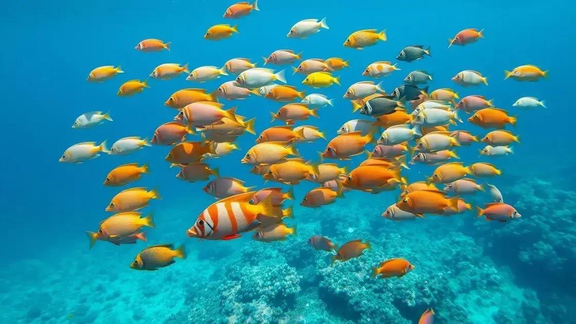 Peixes de água salgada: descubra espécies incríveis e curiosidades do mar